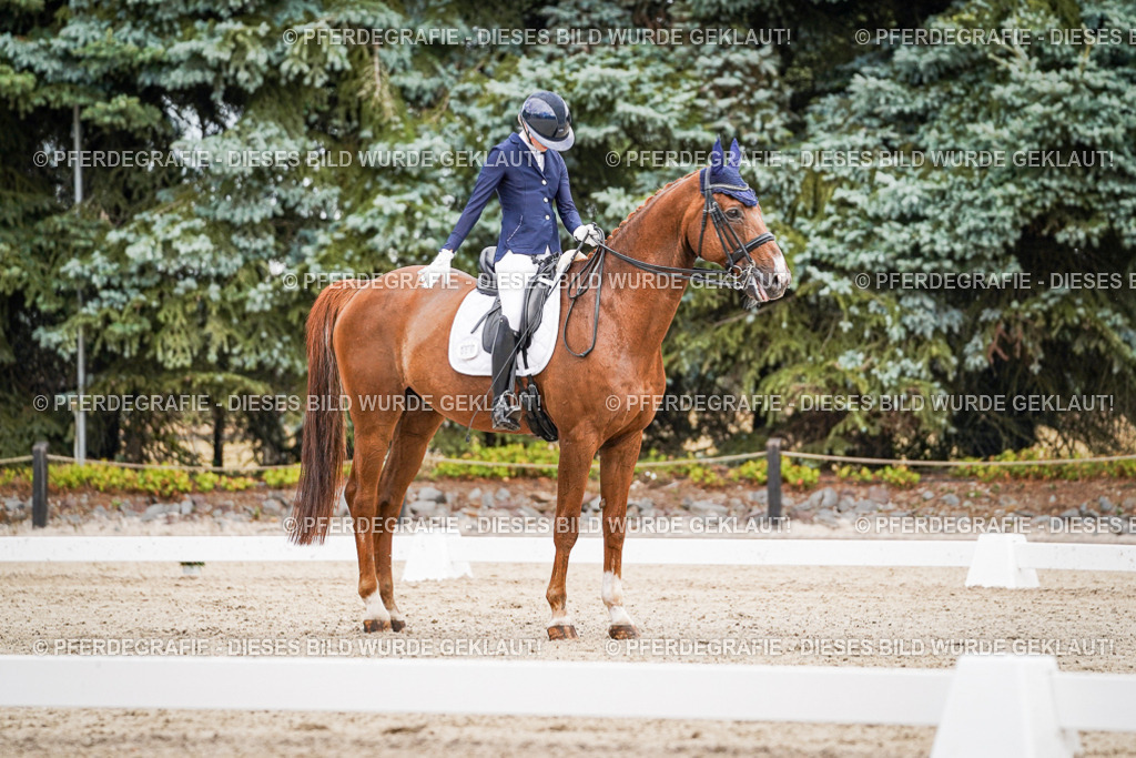 DSC02705 | Pferdegrafie