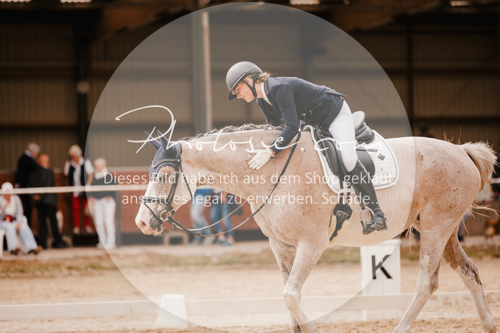 3I6A6192 | Stimmungsvolle Portraits und Reitsportfotografie im Ruhrgebiet und im Münsterland.

Pferdefotografie, Hundefotografie, Tierfotografie, Reportagen, Portraits von Tier und Mensch, Turnierfotografie in Bochum, Recklinghausen, Marl, Haltern am See, Dülmen.. - Realisiert mit Pictrs.com