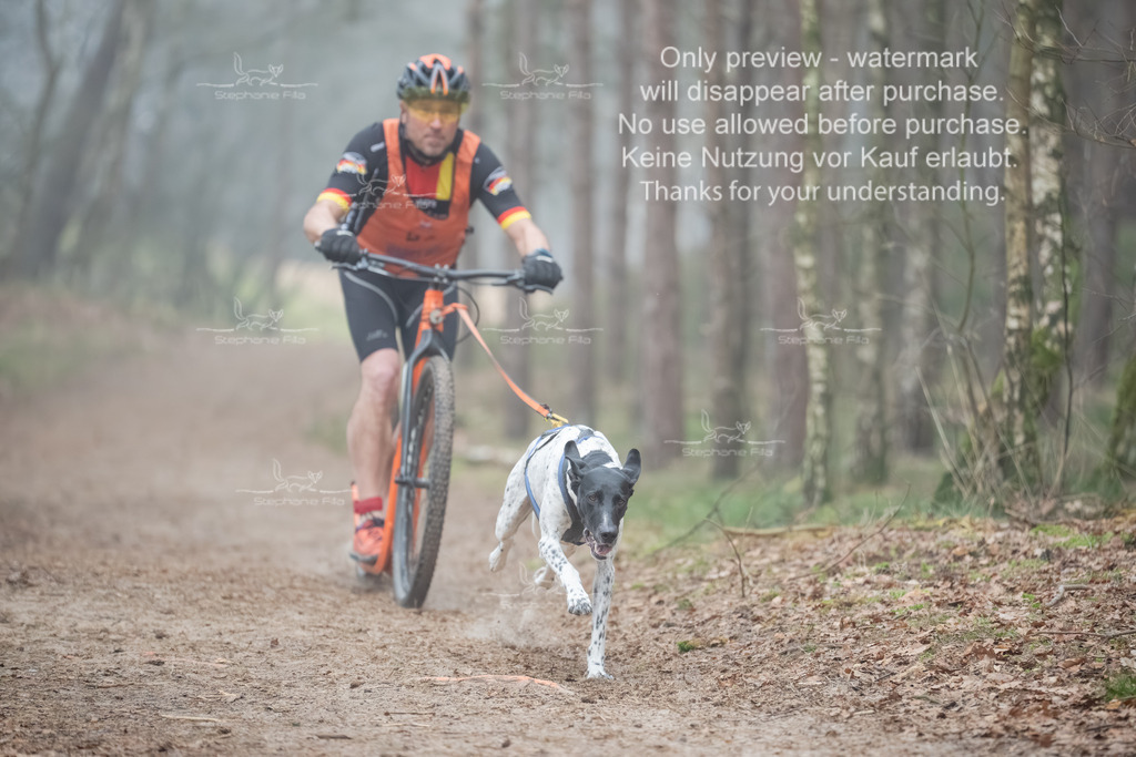 Scooter1-87 | stephaniefillaphotographie - Realisiert mit Pictrs.com