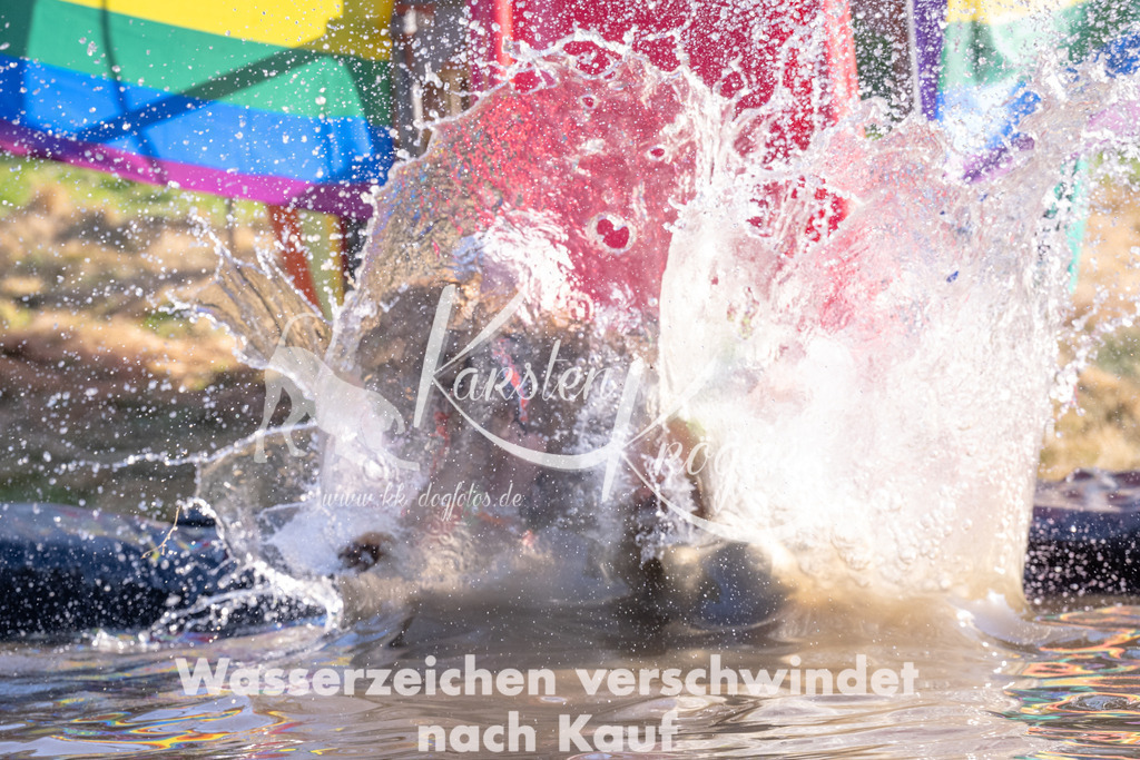 1721_ZZ94986 | kk-dogfotos