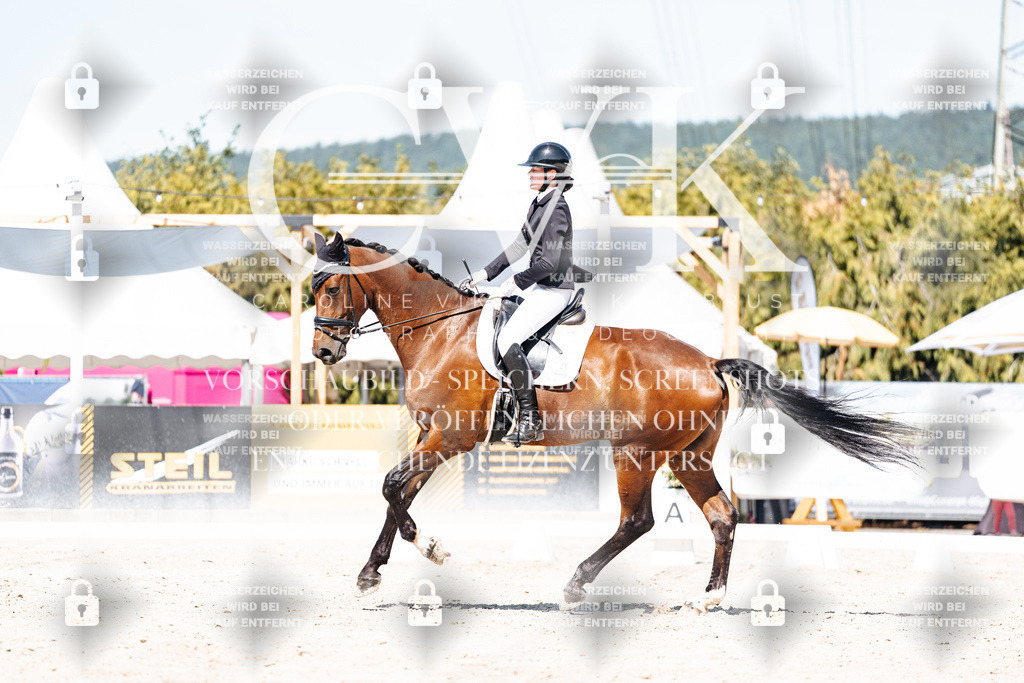 CK909789 | Turnierfotografie Pferdefotografie Trier Rheinland-Pfalz Pferdesport Reitsport Tierfotografie Sportfotografie Pferdevideo Pferdevideografie Equestrianvideography equestrianphotography  - Realisiert mit Pictrs.com