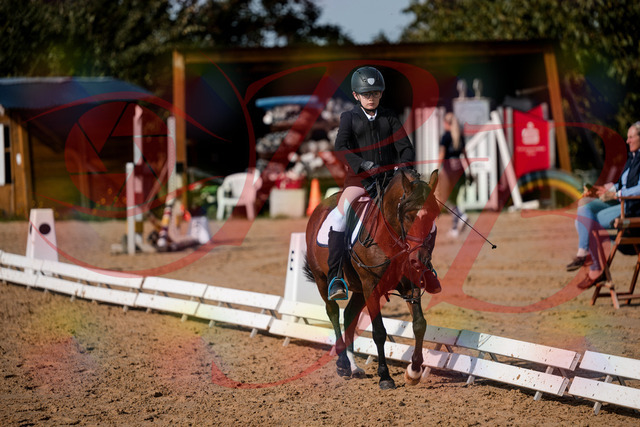 2026_10_03_Siefer-Hof_122336_Z63_45886844 | Professionelle Reitsport-, Turnier- und Eventfotografie von Robert Broda. Galerien mit ausgewählten und bearbeiteten Bildern direkt online ansehen und bestellen.