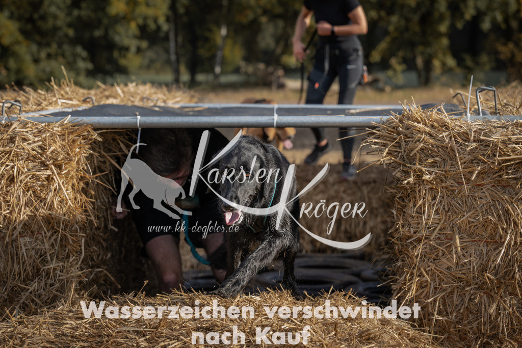 1032_ZZ98625 | kk-dogfotos