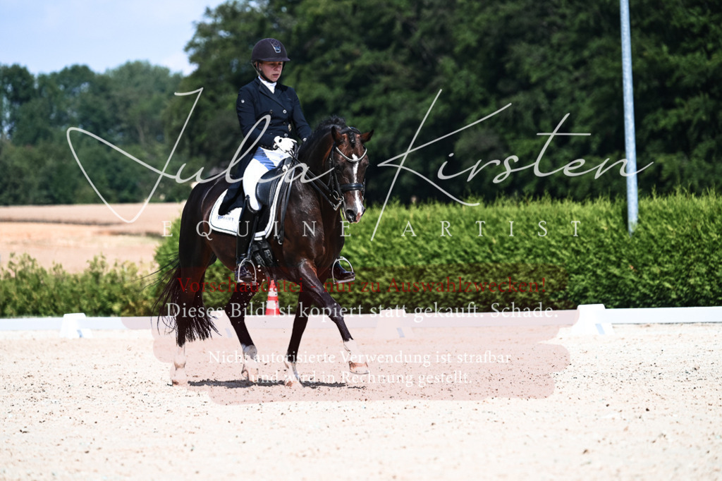 DSC_2922 | Pferde- und Turnierfotografie in Westsachsen. Pferdeportraits, Auftragszeichnungen und intuitive Kunst.