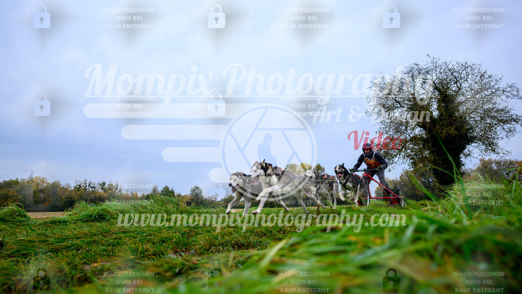 MompixPhotography_CDLBDB2025_DI_Kart-8 | PayLife