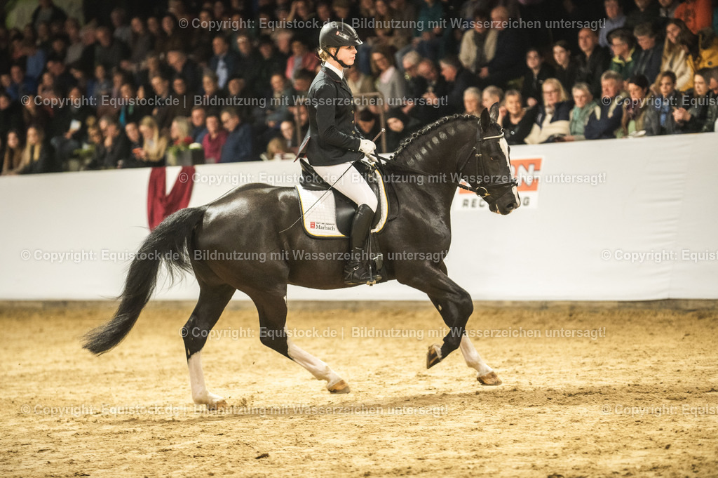 20240302_Hengstvorstellung_Marbach_TOMsPiC_0693 | equistock