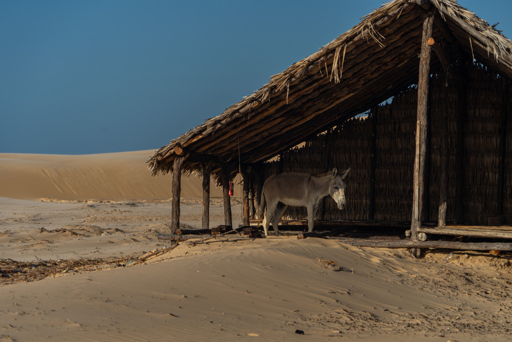 20251028-DeltaTour-0002 | paulependelt - Realisiert mit Pictrs.com