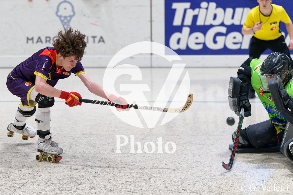 DSC_6618 | Velletri Photo