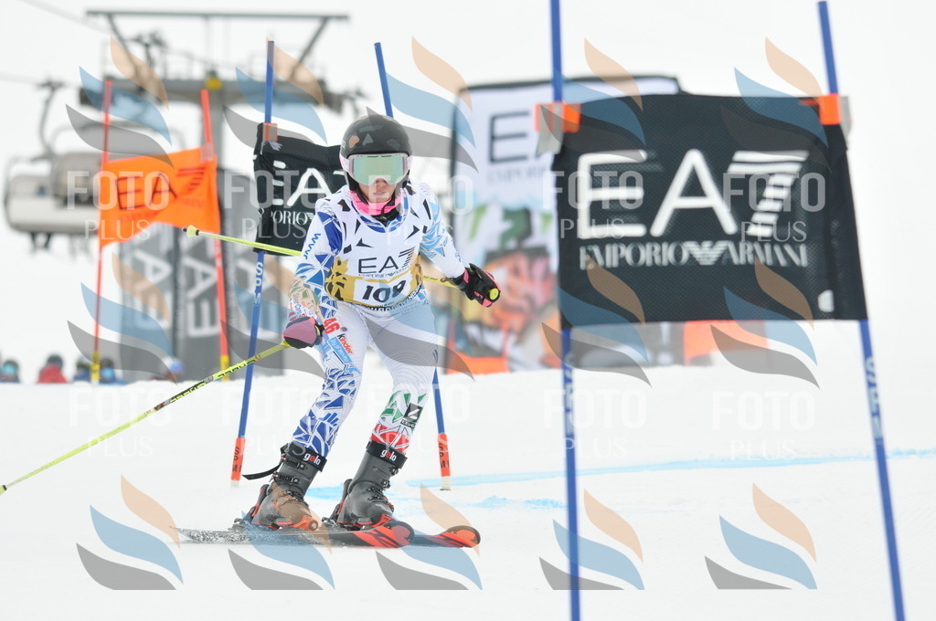 DSC_8114 | holidayphoto