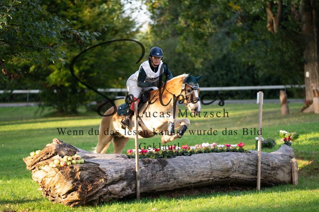 A7V02839 | Pferdefotograf