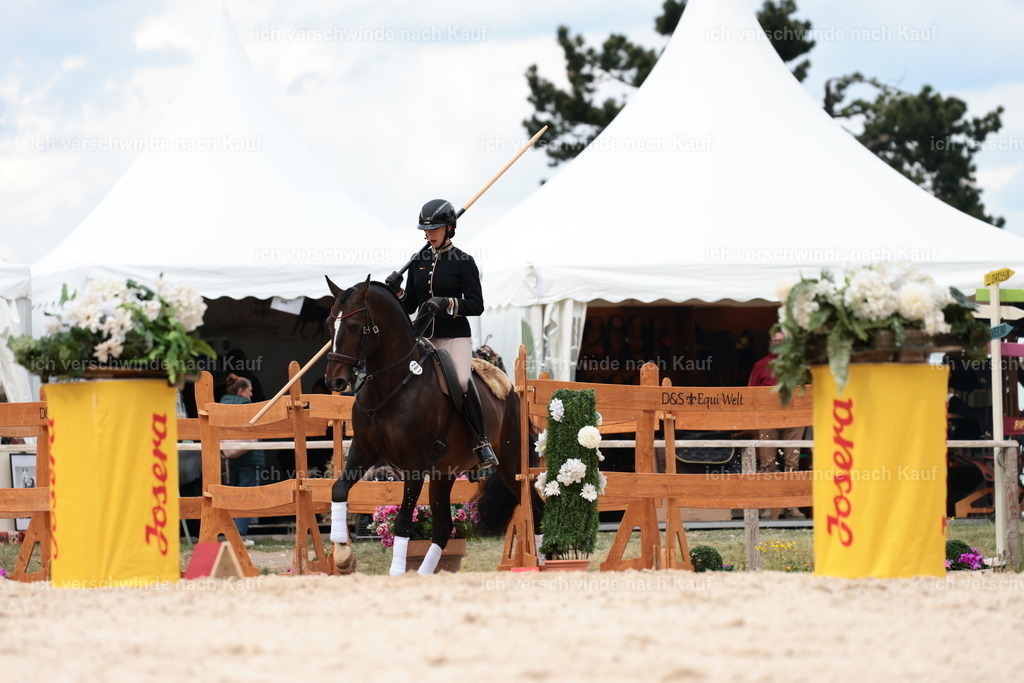 PI26_ST_StoibphotographyC2_L8939.JPG | working equitationturnier fotograf videograf stoibphotography marixx film working equitation deutschland reitsport turnierfotografie eventfotografie equestrian events