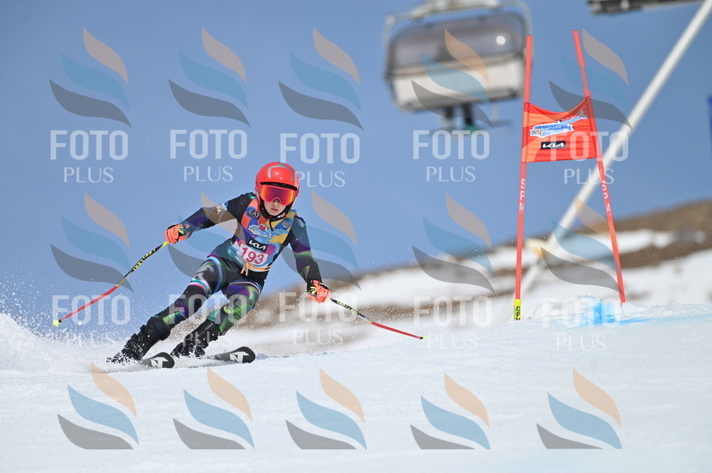 BGV_0854 | holidayphoto