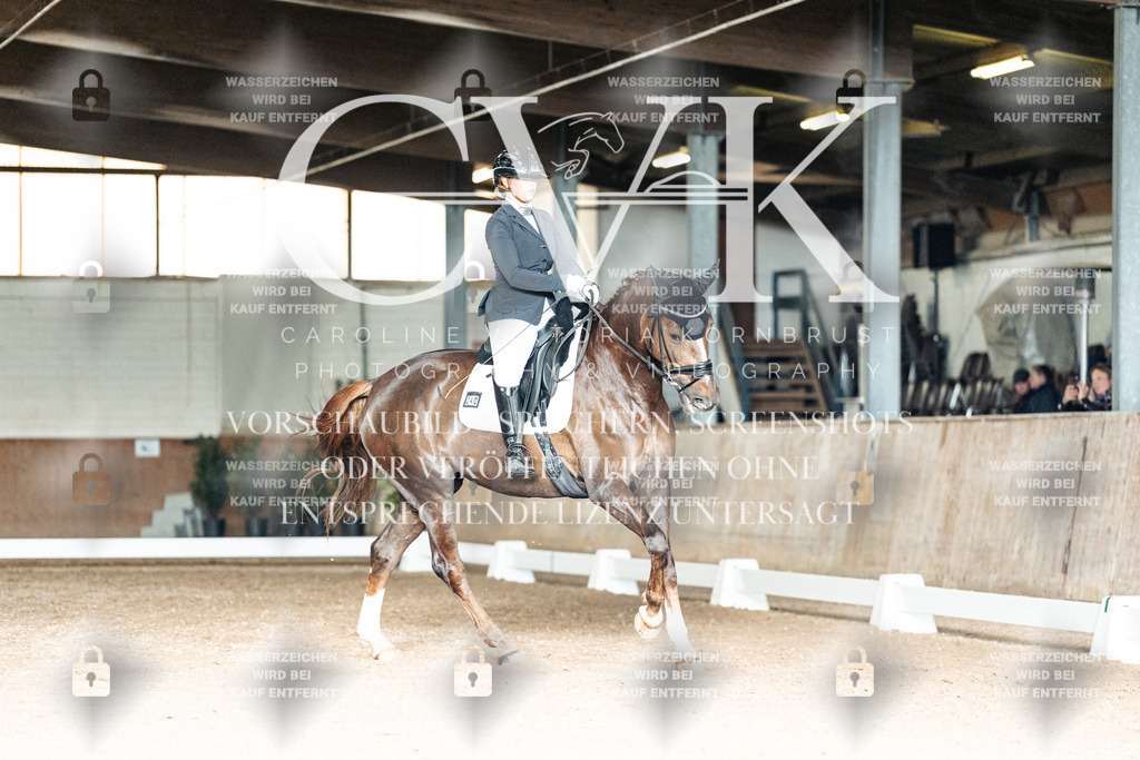 CK902739 | Turnierfotografie Pferdefotografie Trier Rheinland-Pfalz Pferdesport Reitsport Tierfotografie Sportfotografie Pferdevideo Pferdevideografie Equestrianvideography equestrianphotography  - Realisiert mit Pictrs.com