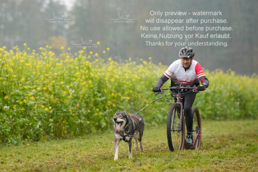 Visbeck_Sa_Scooter_Hc-19 | stephaniefillaphotographie - Realisiert mit Pictrs.com