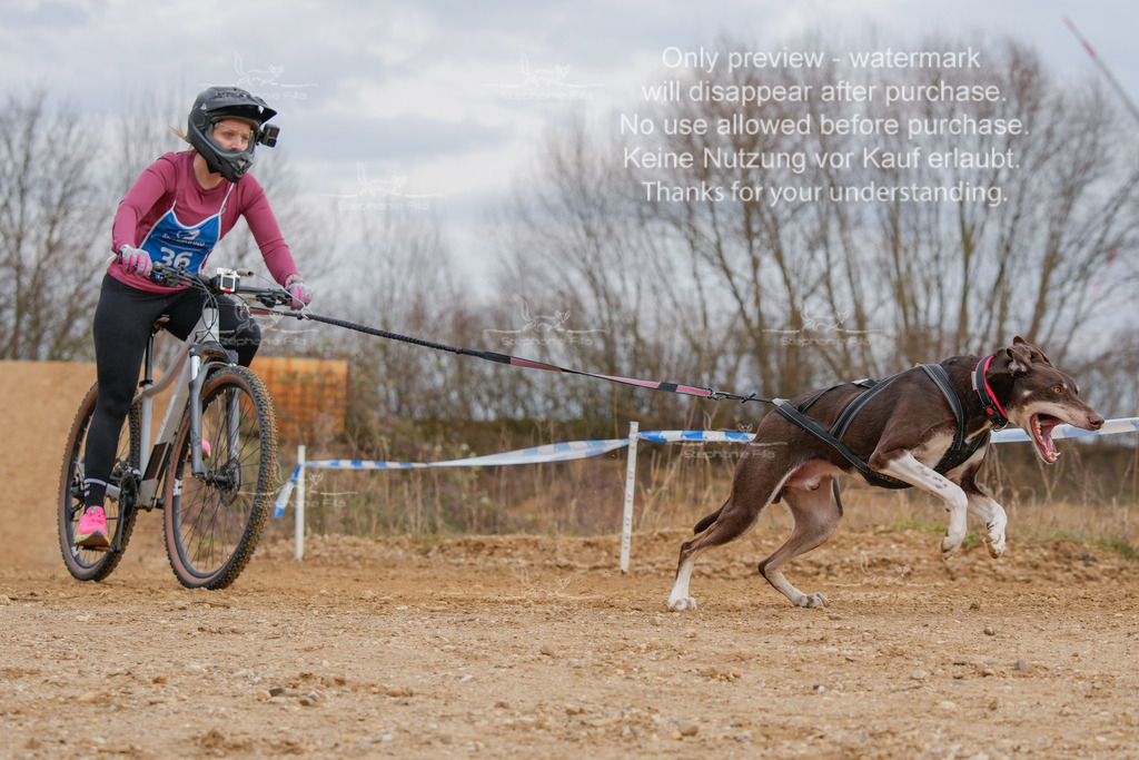 _A1_3378Bike_Sa_DVGBSP2025-517 | stephaniefillaphotographie - Realisiert mit Pictrs.com