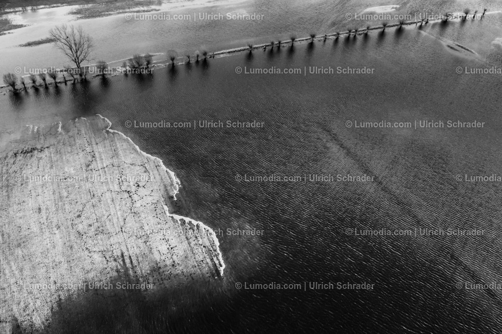 10049-51824 - Hochwasser im Großen Bruch | Stockfoto und Bilderpool mit Bildmaterial aus Deutschland, dem Harz, Halberstadt, Quedlinburg, Wernigerode und weltweit. Qualitativ hochwertige und professionelle Fotos anschauen und kaufen. - Realisiert mit Pictrs.com