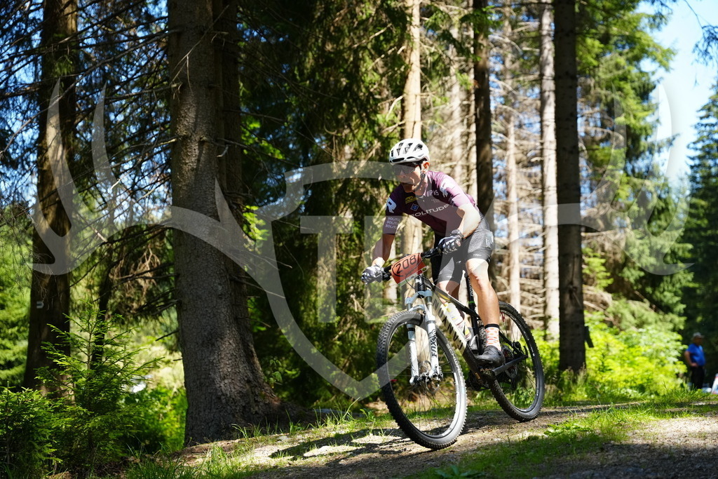 FC101845 | Fotogalerie der Treibjagd im Dunkelwald - Dein MTB Etappenrennen im Erzgebirge - Realisiert mit Pictrs.com