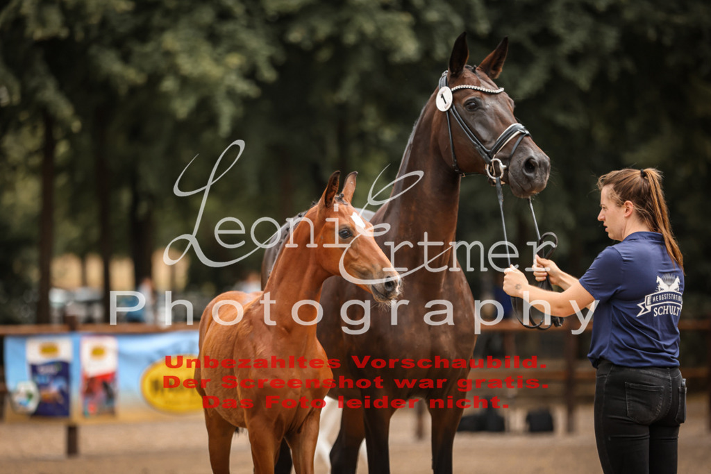 SaFohlen00004 | Leoni Ertmer Photography - Realisiert mit Pictrs.com