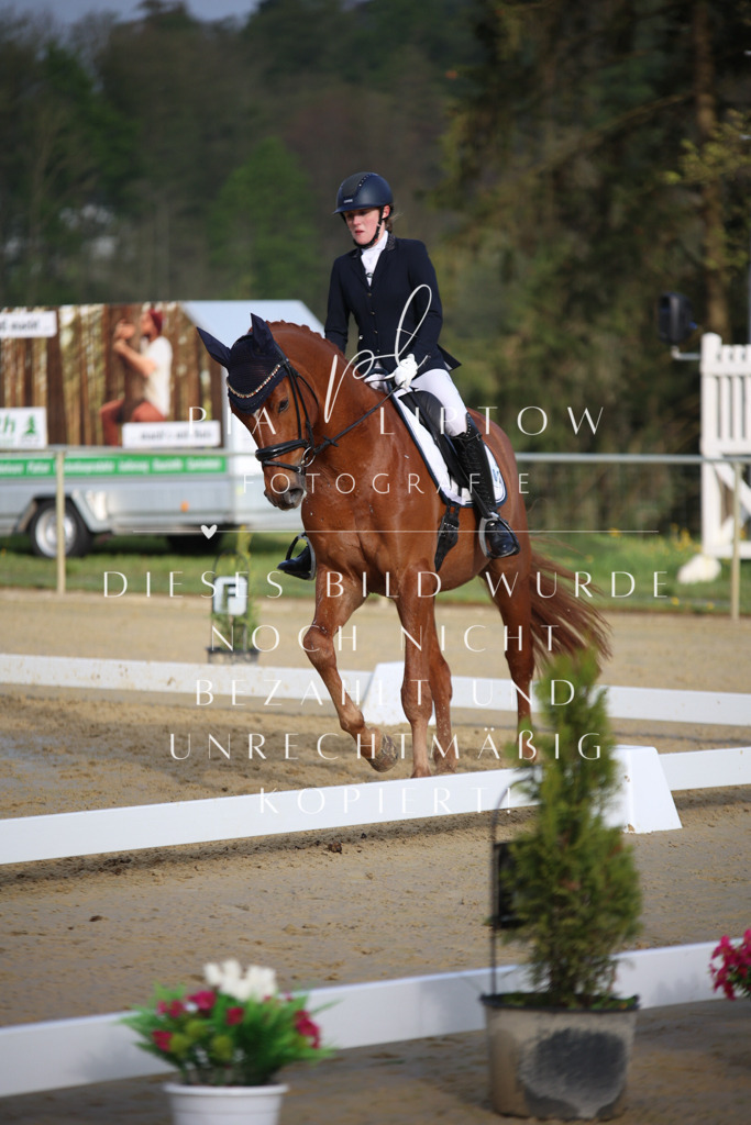 IMGT8368 | pl-fotografie