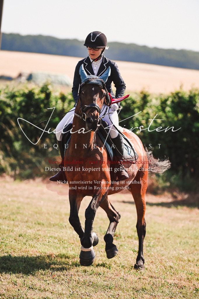 DSC_7390 | Pferde- und Turnierfotografie in Westsachsen. Pferdeportraits, Auftragszeichnungen und intuitive Kunst.