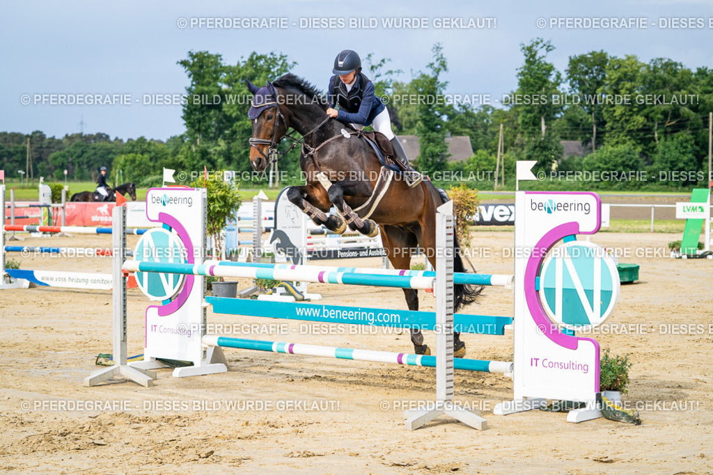 DSC03642 | Pferdegrafie