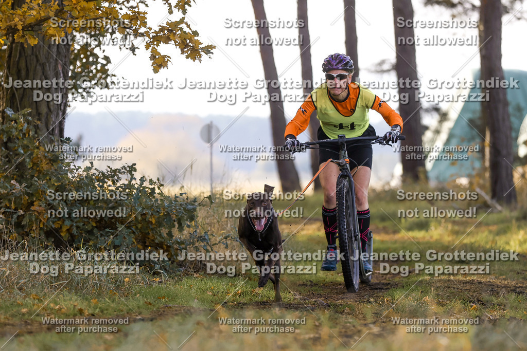 Dog Paparazzi - Elsholz 25 -69 | Dog Paparazzi Jeanette Grottendiek Fotografie & Videografie - Realisiert mit Pictrs.com