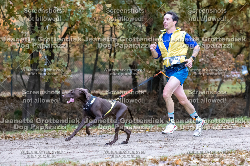 Dog Paparazzi - SD CaniX Championship 2025-105 | Dog Paparazzi Jeanette Grottendiek Fotografie & Videografie - Realisiert mit Pictrs.com