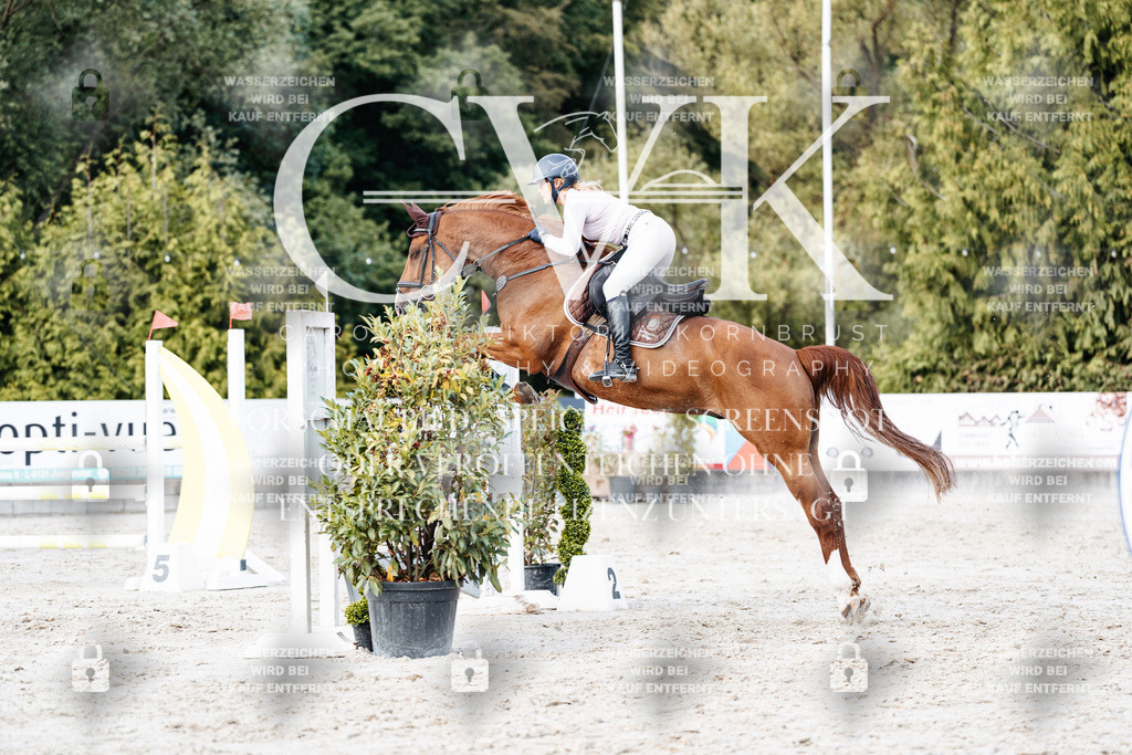 CK903935 | Turnierfotografie Pferdefotografie Trier Rheinland-Pfalz Pferdesport Reitsport Tierfotografie Sportfotografie Pferdevideo Pferdevideografie Equestrianvideography equestrianphotography  - Realisiert mit Pictrs.com
