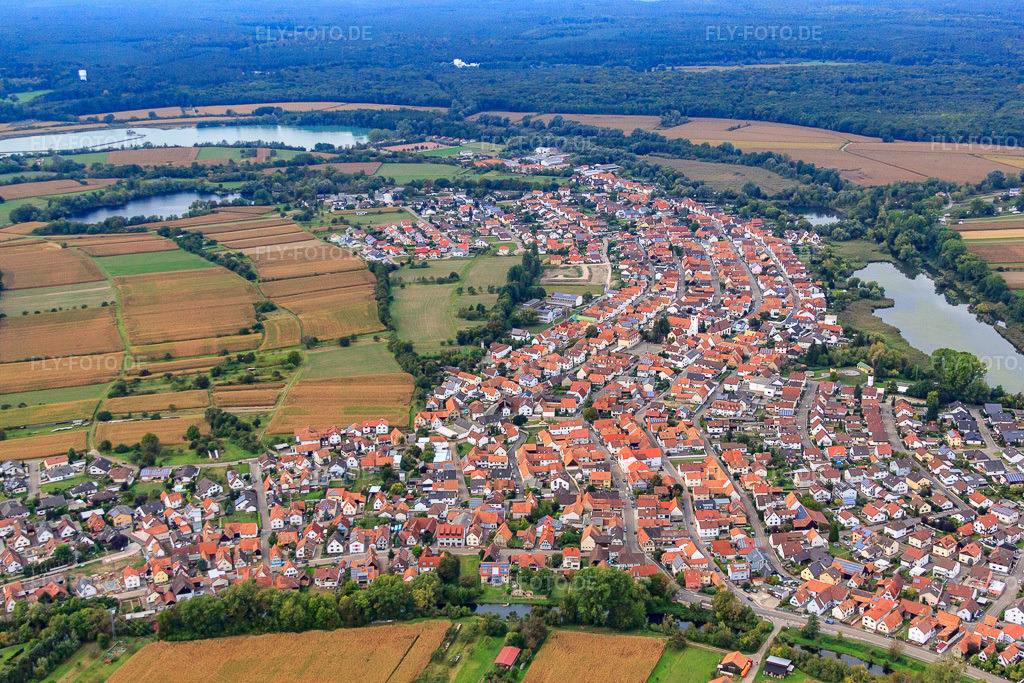 Luftbild: Dorfansicht aus Südosten in Neuburg am Rhein im Bundesland Rheinland-Pfalz in Deutschland. Foto: IMG_53326.jpg vom 23.09.2012 durch Werner Riehm/FLY-FOTO.de