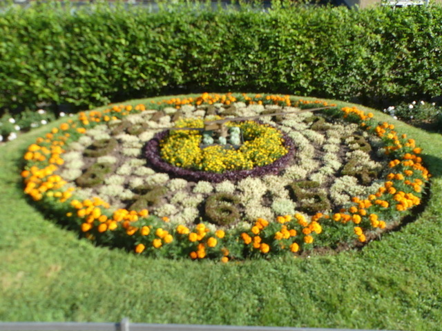 Blumenuhr Greiz | Verkauf von Fotos und  Videoclips zumThema Natur.Motive sind Pflanzen, Tiere, Landschaftenund Wetter - Realisiert mit Pictrs.com