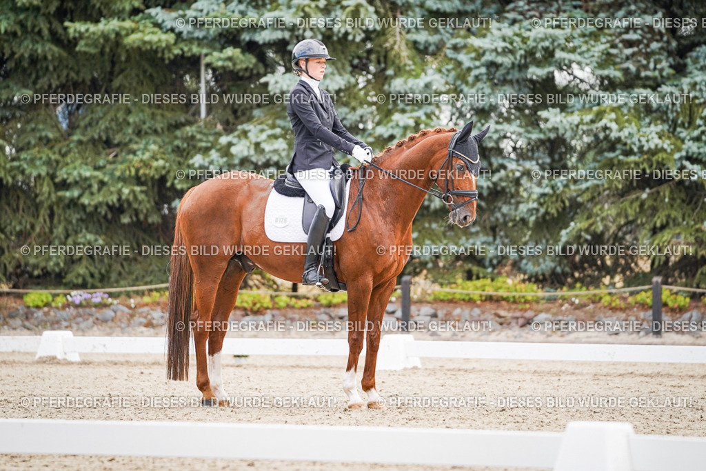 DSC01243 | Pferdegrafie