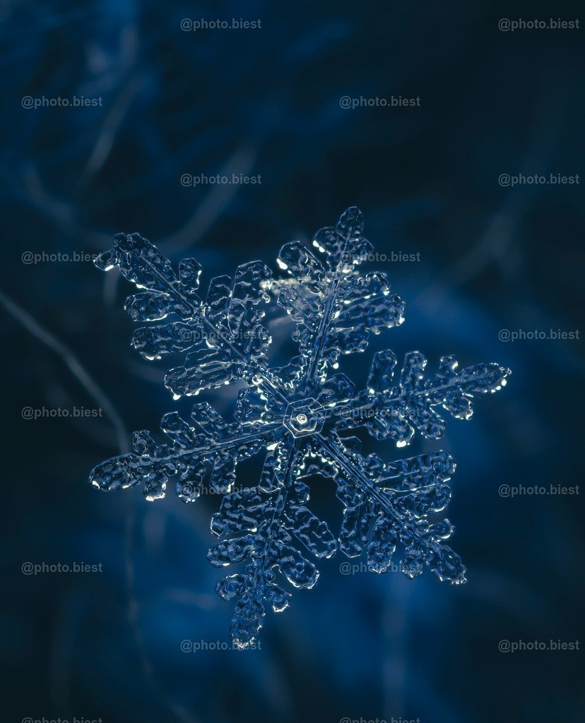 Schneeflocke #5 | Eine (von vielen) filigranen Schneeflocken in meinem ersten Makro-Schneeflocken-Winter. - Realisiert mit Pictrs.com