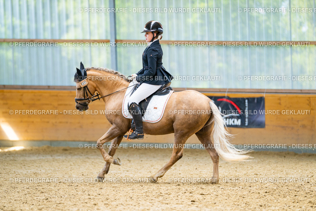 DSC09274 | Pferdegrafie