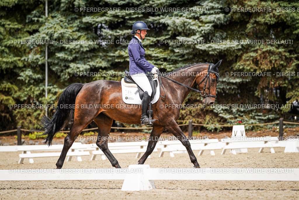 DSC03863 | Pferdegrafie