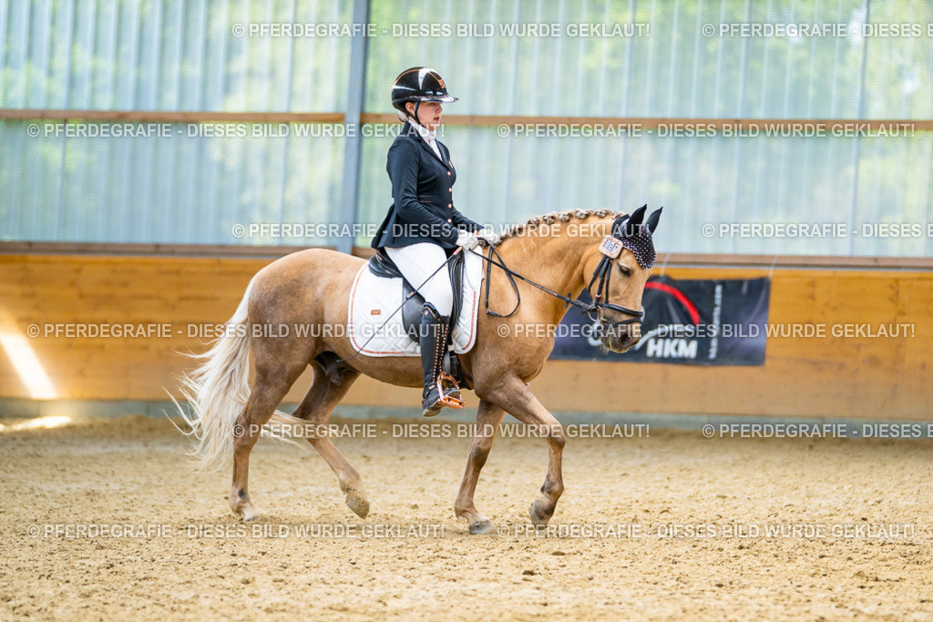 DSC09218 | Pferdegrafie