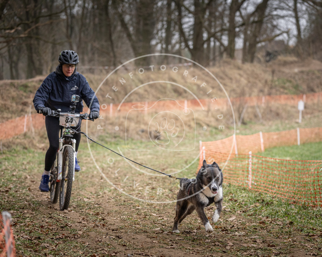 Pfotenfotografie_DV3A5739 | Hundefotografie, Tierfotograf, Pfotenfotografie, Fotoshooting Hund, Hunde Portrait, Hundesport, Hundeportraits, Heideshooting, Hunde, Sportfotograf, Hundefotograf, Turnierhundsport, THS,  - Realisiert mit Pictrs.com