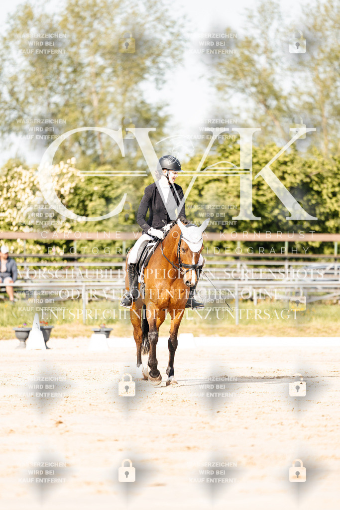 CK900101 | Turnierfotografie Pferdefotografie Trier Rheinland-Pfalz Pferdesport Reitsport Tierfotografie Sportfotografie Pferdevideo Pferdevideografie Equestrianvideography equestrianphotography  - Realisiert mit Pictrs.com