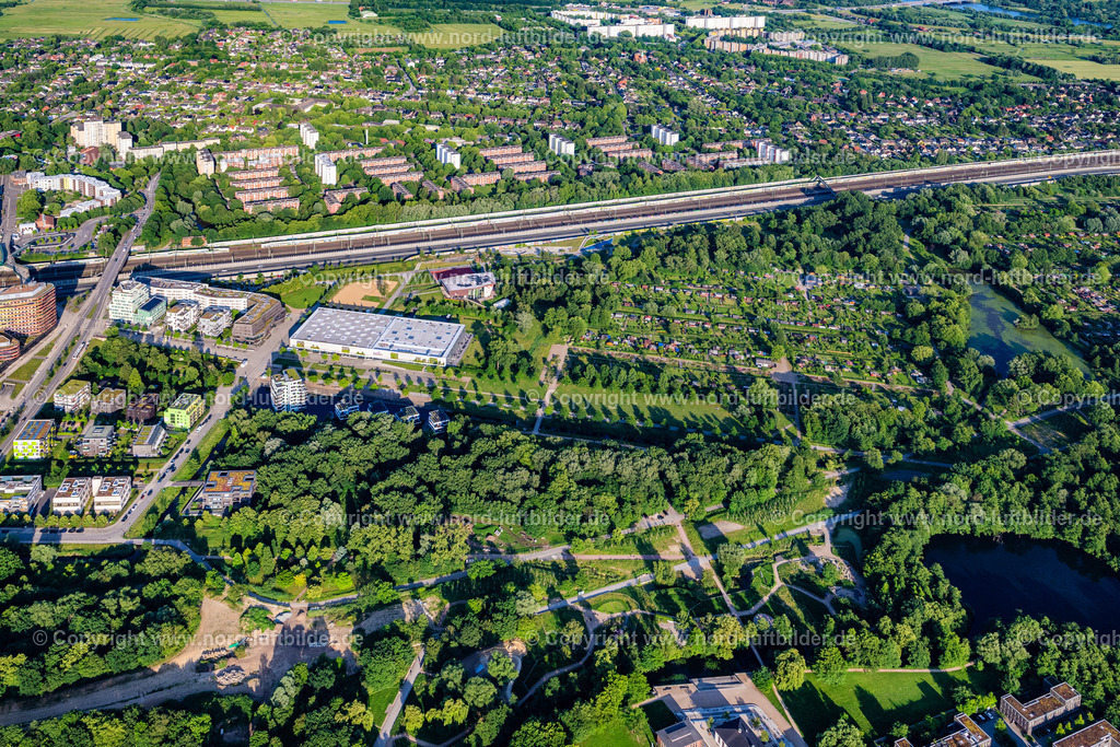 Hamburg_Wilhelmsburg_Inselpark_ELS_7923160625 | HAMBURG 16.06.2025 Parkanlage des Kleingartenvereins Grüne Freiheit im Wilhelmsburger Inselpark in Hamburg. // Park of the Kleingartenverein Gruene Freiheit in the Wilhelmsburger Inselpark in Hamburg. Foto: Martin Elsen