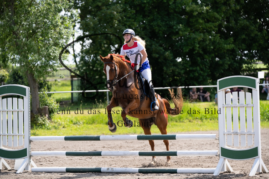 A7V04590 | Pferdefotograf