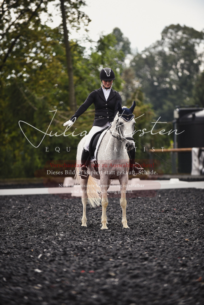 DSC_3952 | Pferde- und Turnierfotografie in Westsachsen. Pferdeportraits, Auftragszeichnungen und intuitive Kunst.