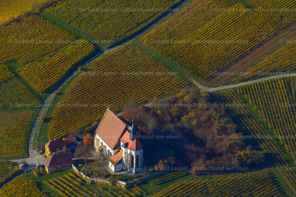 3503585 | Weinberge bei Maria im Weingarten