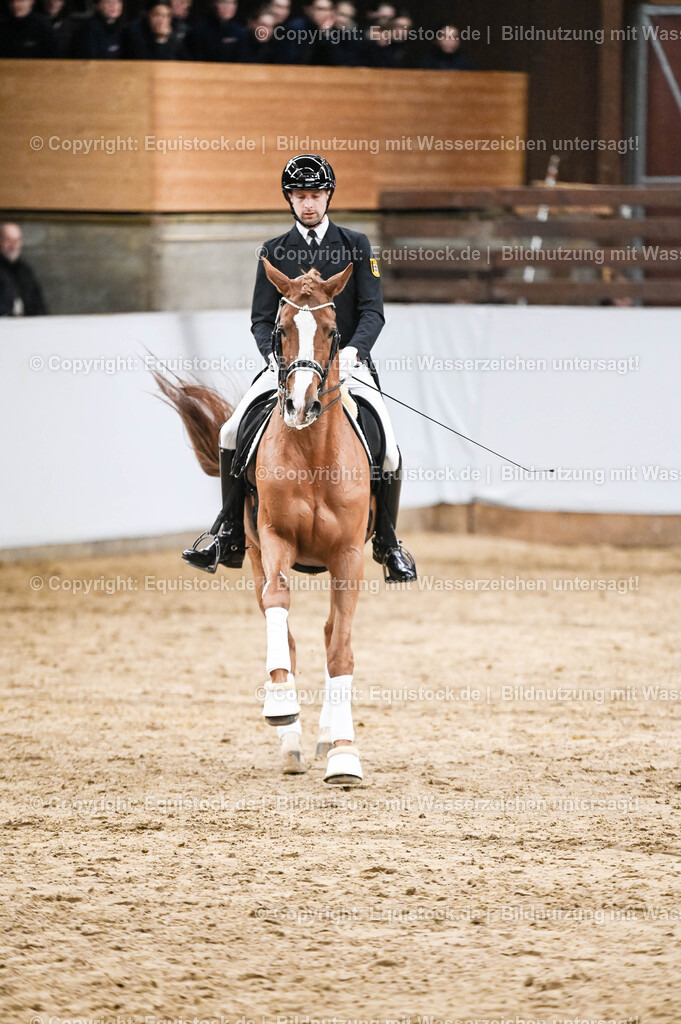 20260307_Hengstvorstellung-Marbach_0324 | equistock
