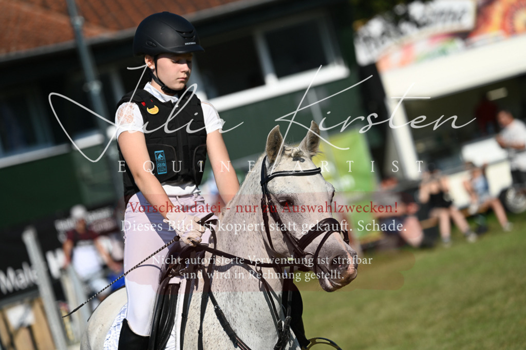 DSC_5259 | Pferde- und Turnierfotografie in Westsachsen. Pferdeportraits, Auftragszeichnungen und intuitive Kunst.