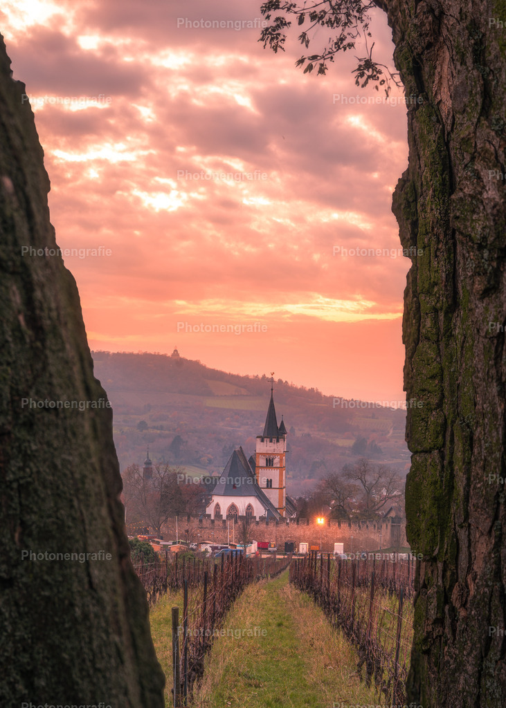 Ingelheim | Photonengrafie´s Shop - Realisiert mit Pictrs.com