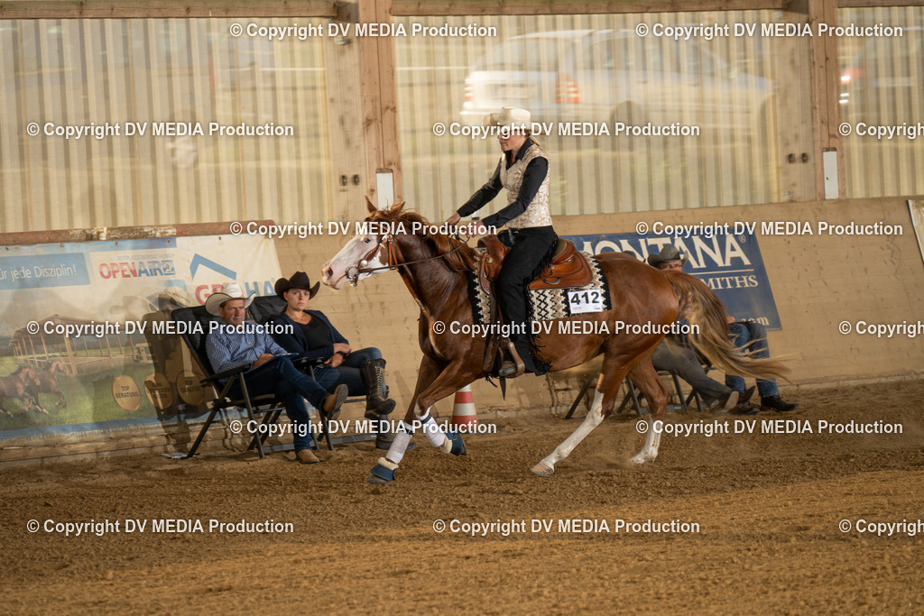 LAU01979 | dv-media-shop - Realisiert mit Pictrs.com