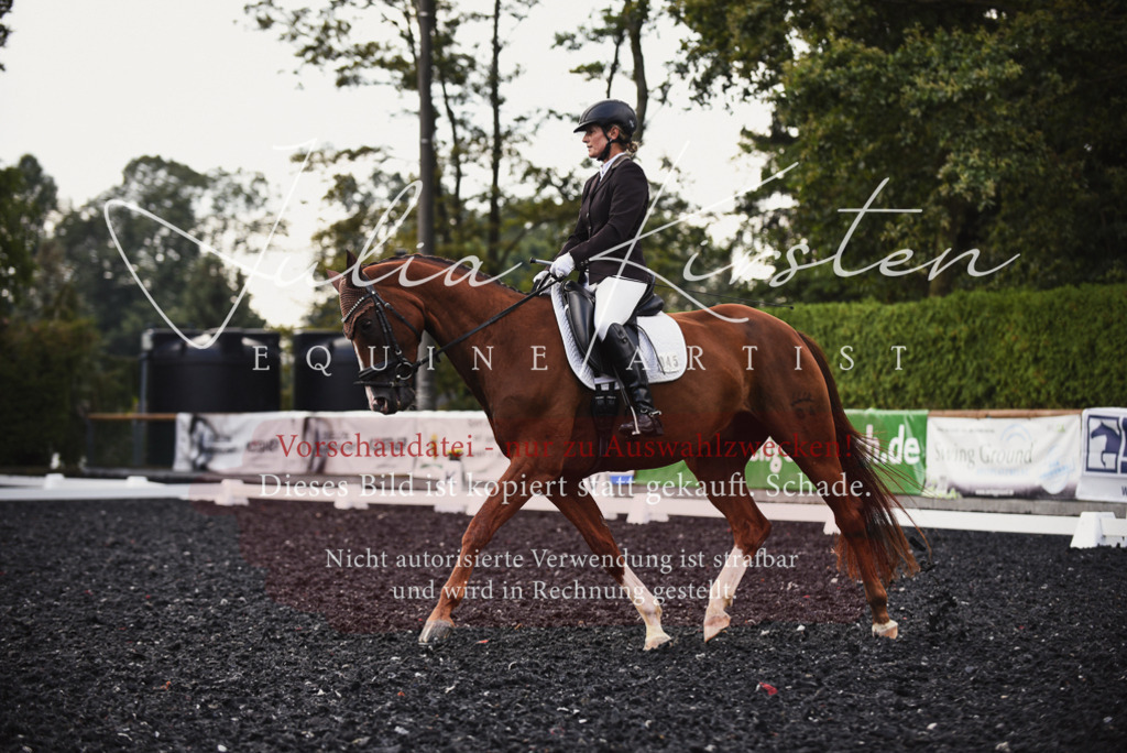 DSC_3995 | Pferde- und Turnierfotografie in Westsachsen. Pferdeportraits, Auftragszeichnungen und intuitive Kunst.
