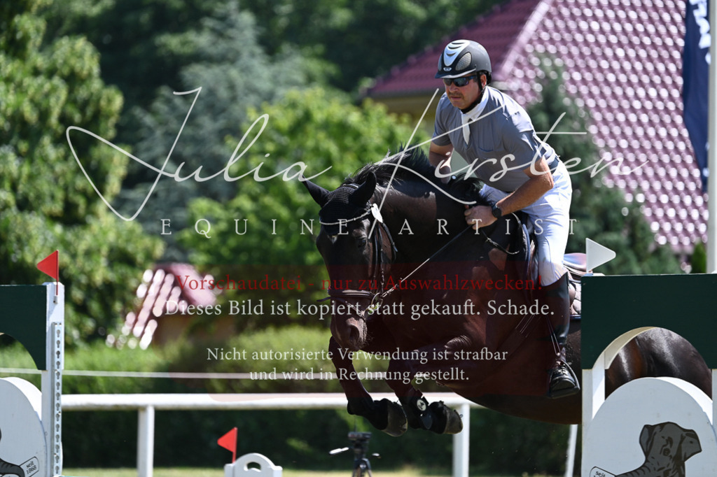 DSC_0750 | Pferde- und Turnierfotografie in Westsachsen. Pferdeportraits, Auftragszeichnungen und intuitive Kunst.