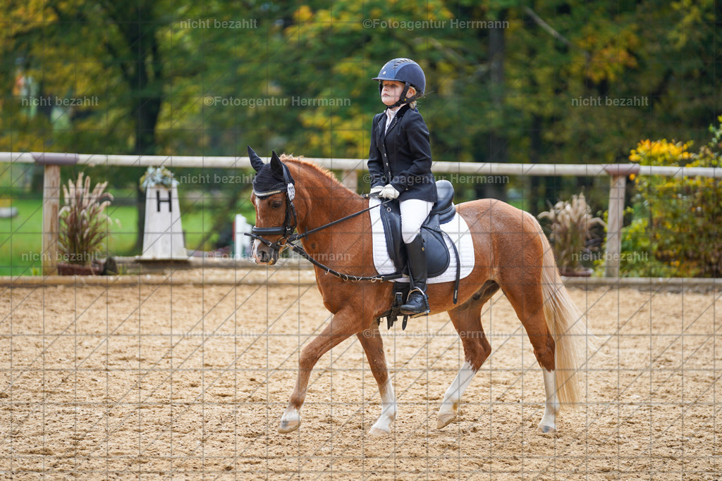 20221008-FAH01228 | Diessen am Ammersee, 2022, Dressur- und Springturnier, Reitsportbilder, Turnierfotografen Bayern, Pferdefotografen, Fotoagentur Herrmann, Turnierbilder