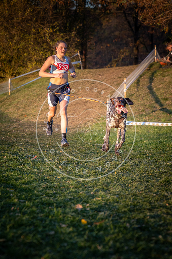 CaniXpix_0L8A1760 | Hundefotografie, Tierfotograf, Pfotenfotografie, Fotoshooting Hund, Hunde Portrait, Hundesport, Hundeportraits, Heideshooting, Hunde, Sportfotograf, Hundefotograf, Turnierhundsport, THS,  - Realisiert mit Pictrs.com