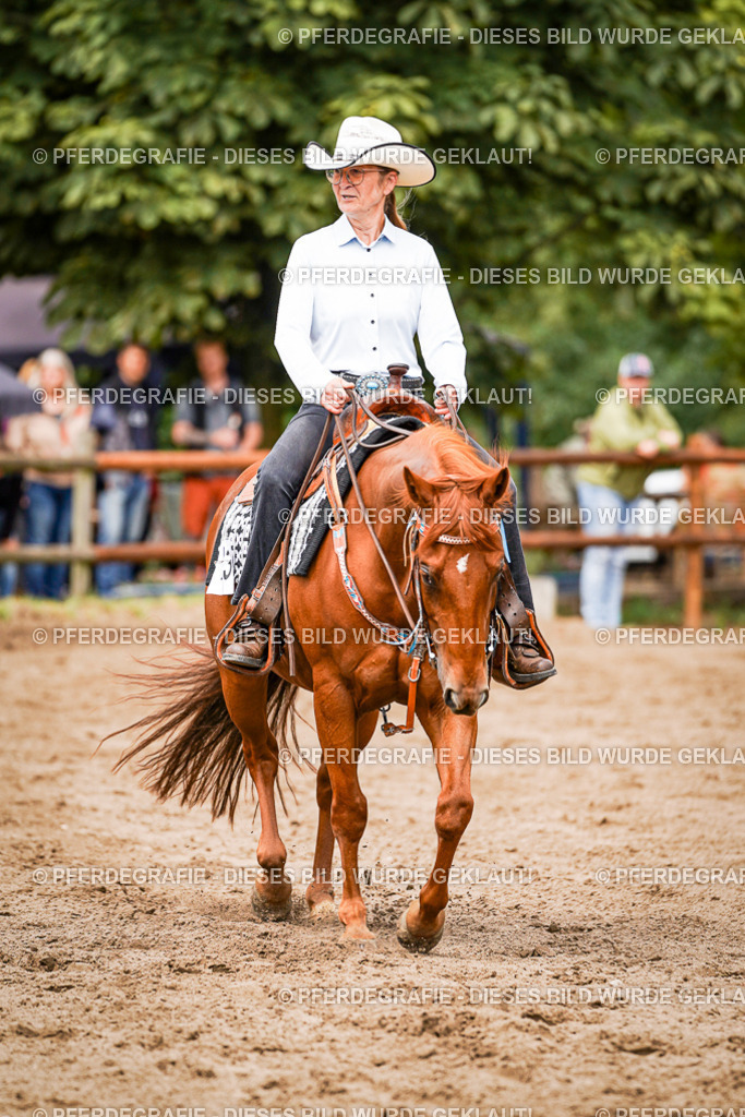 DSC06708 | Pferdegrafie